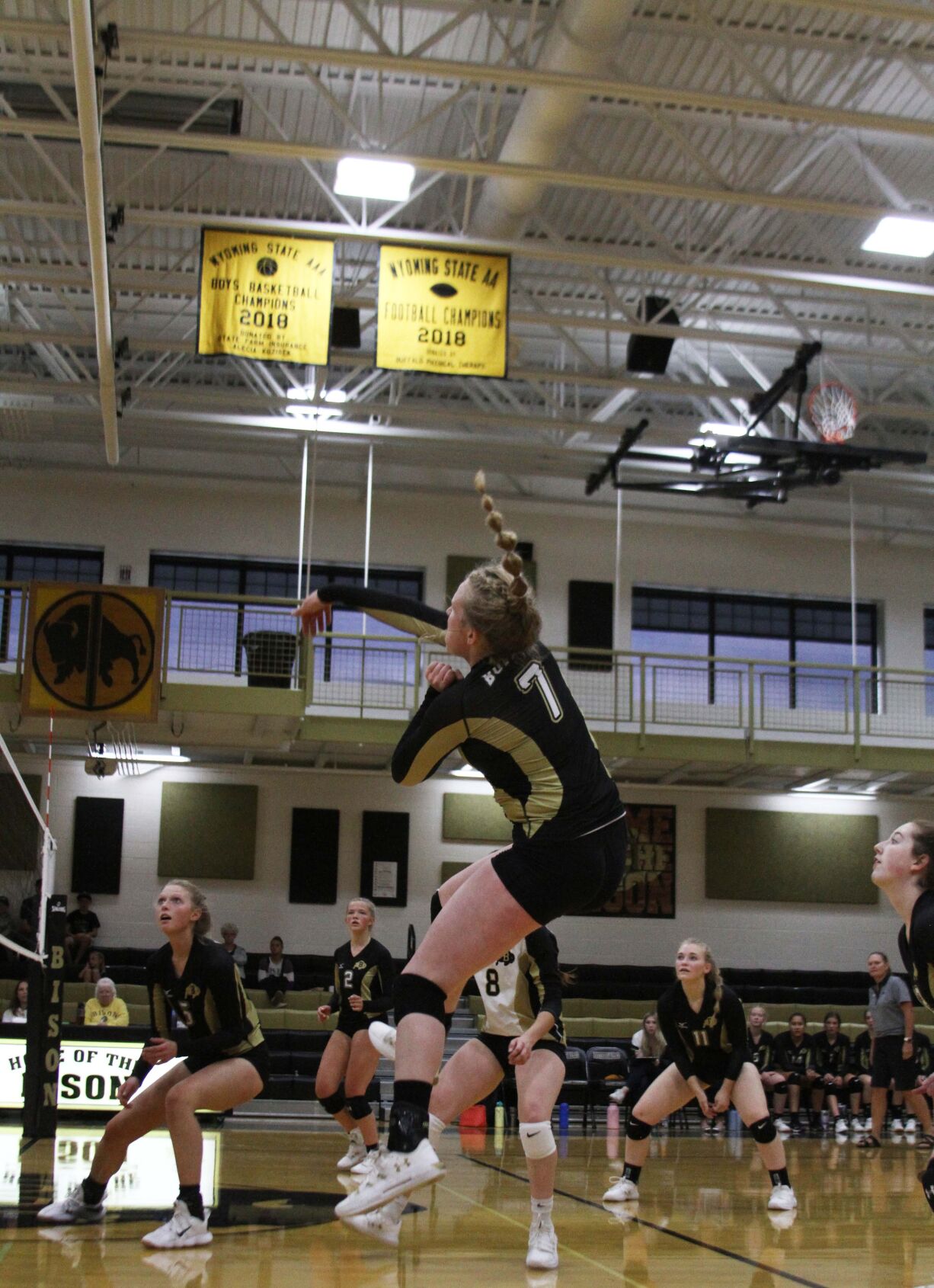 SPO_Buffalo VB 02.jpg